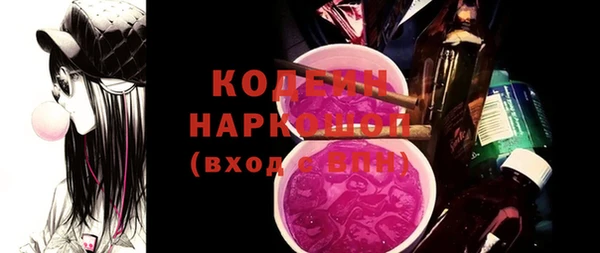 МДПВ Вяземский