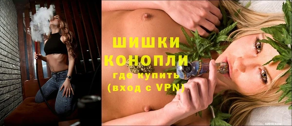 гидра Вязники